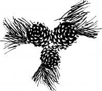 Pinecones Gift Certificate